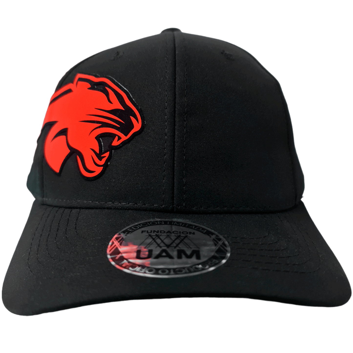 GORRA FUNDACIÓN UAM